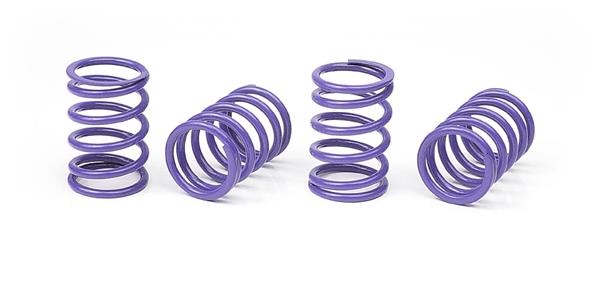 Spring-Set D=1.7 (28 LB) Violet - Medium (4)