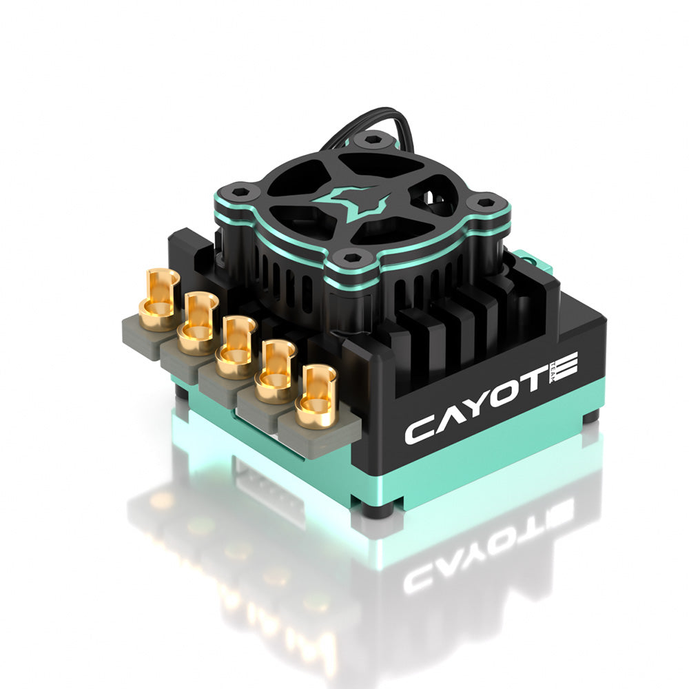 Racing CREST RS120 1/10 Stock 120A Sensored Brushless Competition ESC