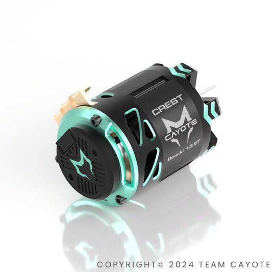 Racing 1/10 Stocki Motor 21.5T