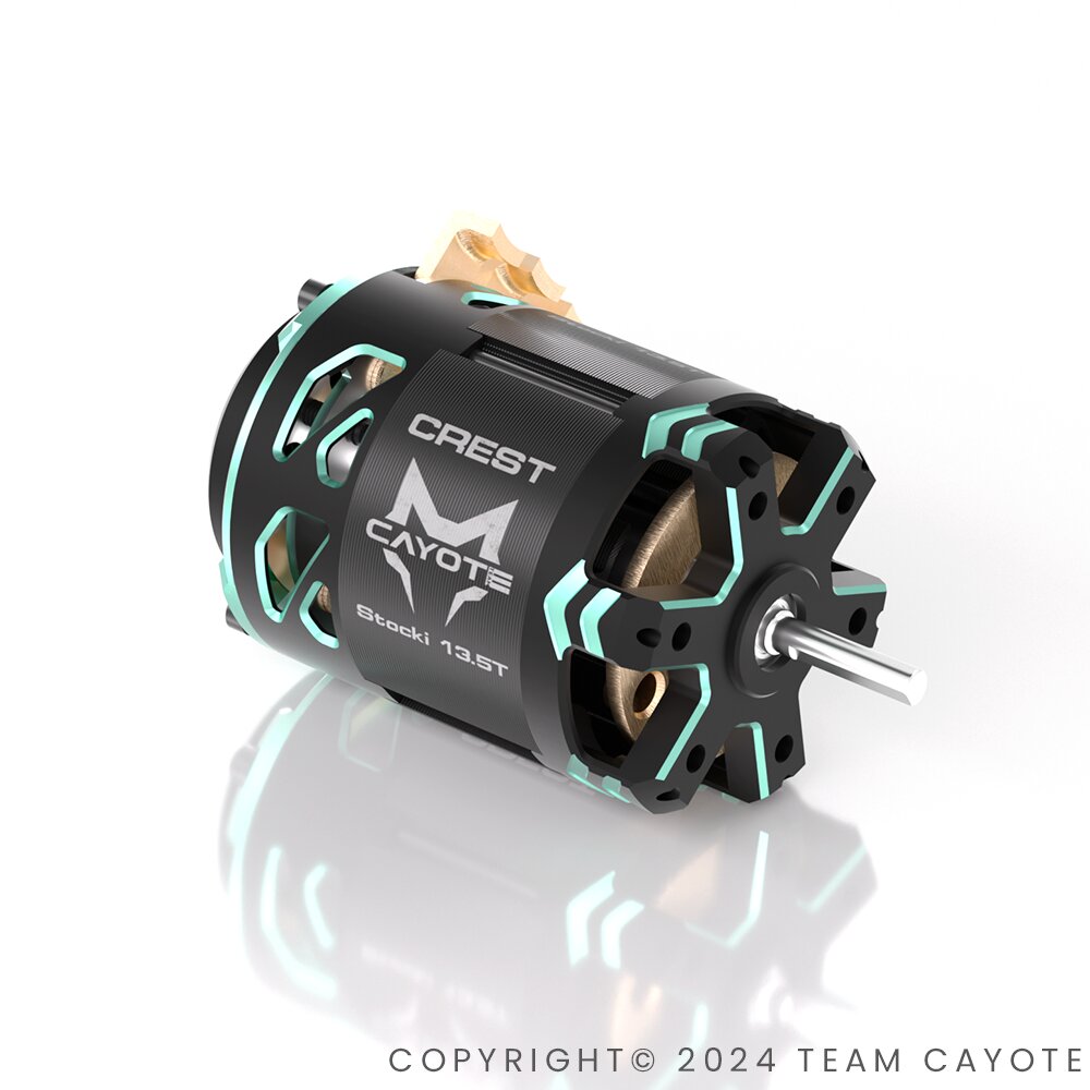 Racing 1/10 Stocki Motor 21.5T
