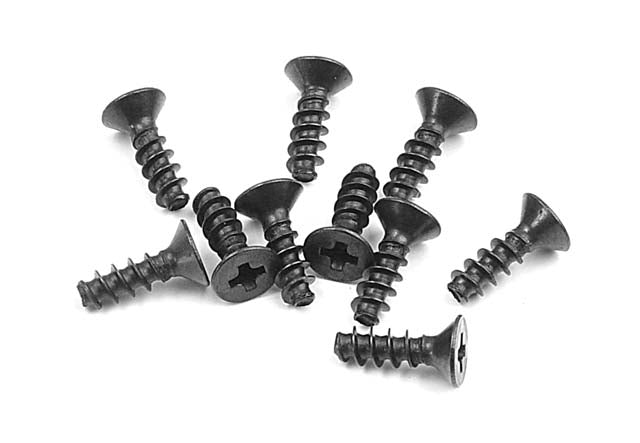 Screw Phillips FH 2.5x8 (10)