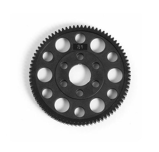 Spur Gear 81T/48