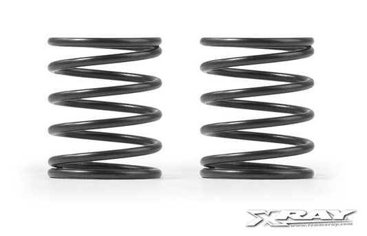 4S Spring-Set C=2.5 (2)