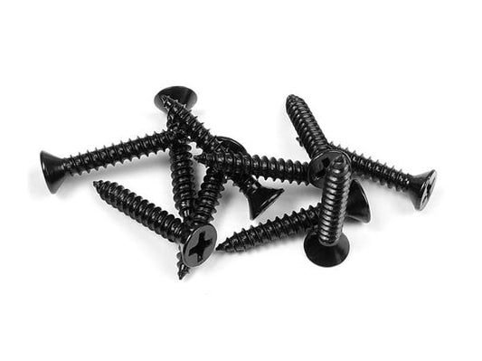 Screw Phillips SS 3.5x22 (10)
